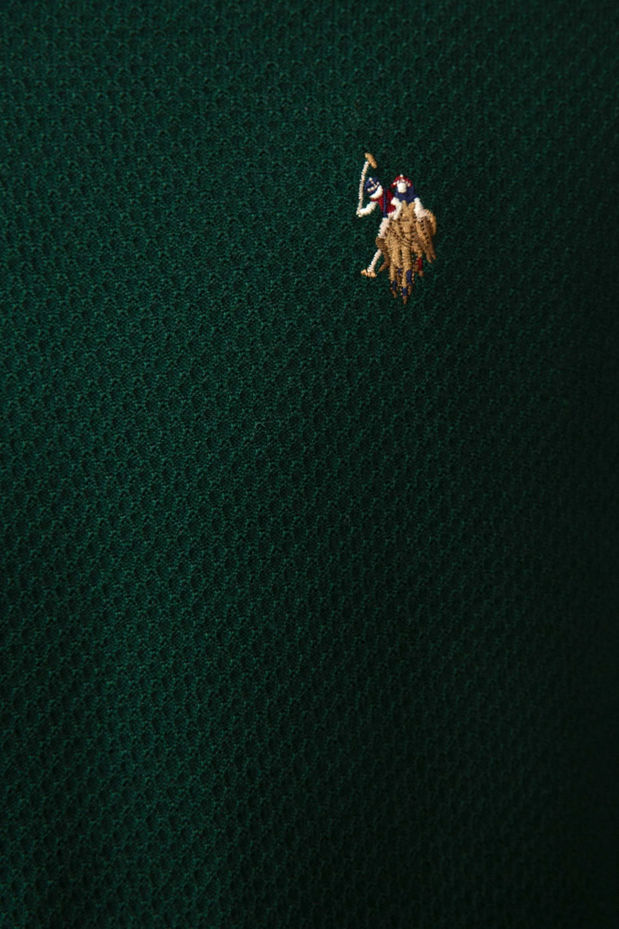2145 Green US POLO ASSN Jumper